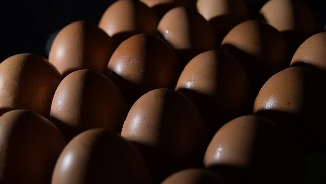 Row eggs gyrating with intimate light