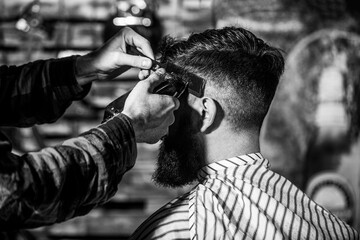 Barber works with hair clipper. Hipster client getting haircut. Hands of barber with hair clipper,...