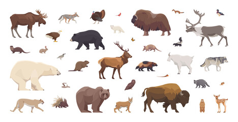 Flat set of north american animals. Isolated animals on white background. Vector illustration © Paul Kovaloff