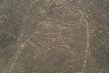 Nazca Lines (Vulture)