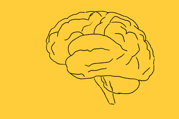 Human Brain drawing on yellow background