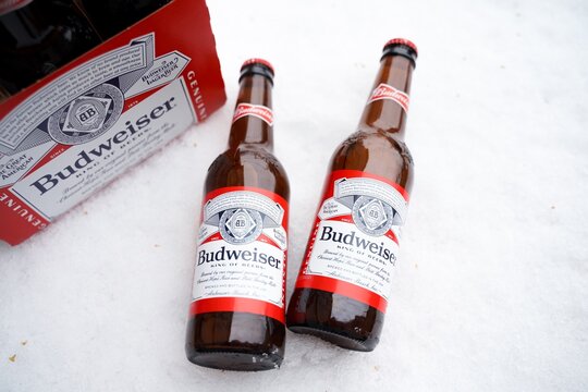 Marinette,WI,USA -Dec1-2021: An outdoor vendor sells Budweiser beer chilled on a table with lots of Snow. Bottles of Bud beer, an American-style pale lager produced by Anheuser-Busch.