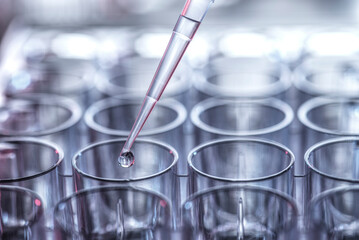 Pharmaceutical Research, Pipetting sample into a multi well plate