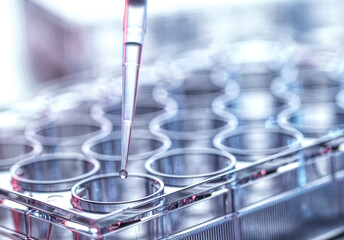 Pharmaceutical Research, Pipetting sample into a multi well plate - obrazy, fototapety, plakaty