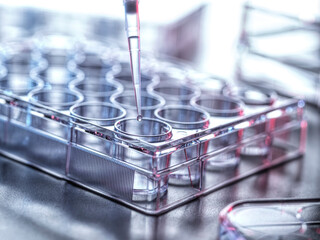Pharmaceutical Research, Pipetting sample into a multi well plate