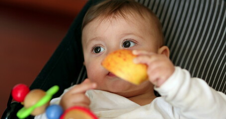 Fototapeta na wymiar Cute baby eating apple fruit. Infant boy eats healty snack