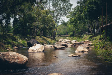 Fototapeta premium Sceneic view of river; Rock and tree