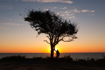 Fototapeta na wymiar Tree silhouette with lonely man concept background