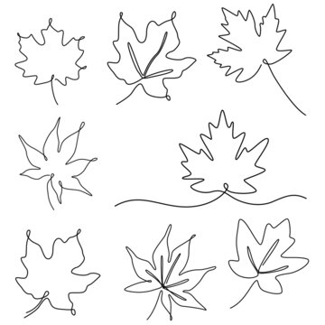 set of continuous one line illustration of maple autumn tree leaf