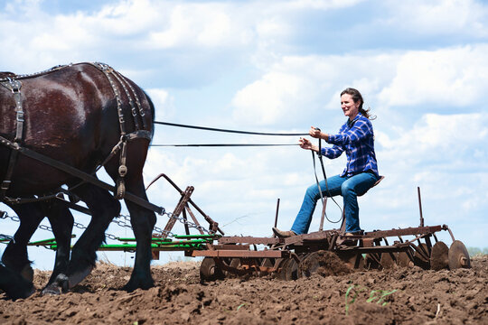 Woman plowing a field with a team of four black Percheron horses.