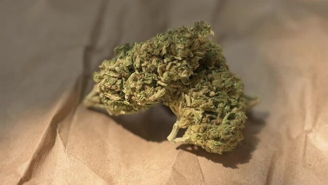 Cannabis Leaf. Cannabis plant ready to smoke. Beautiful cogollo