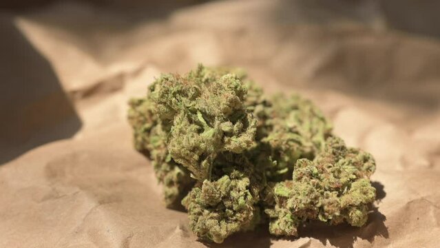 Cannabis Leaf. Cannabis plant ready to smoke. Beautiful cogollo