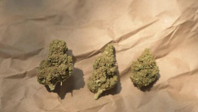 Cannabis Leaf. Cannabis plant ready to smoke. Beautiful cogollo