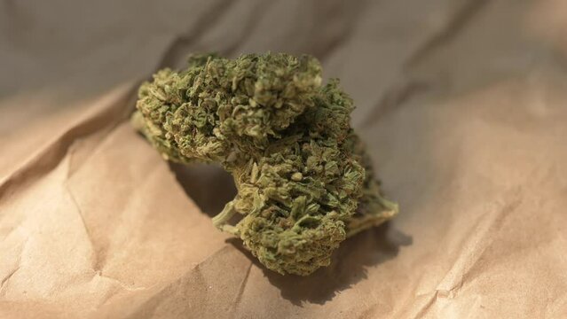 Cannabis Leaf. Cannabis plant ready to smoke. Beautiful cogollo