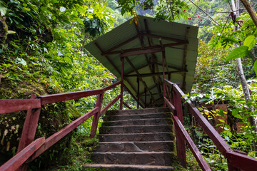 Fototapeta na wymiar Rudimentary stairs built a long time ago in the middle of the Amazon jungle.
