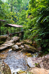 Bridge that crosses the leafy jungle until reaching the Amazonian thermal baths.