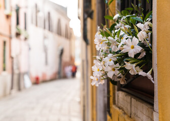 flowers on a window and street in Italy