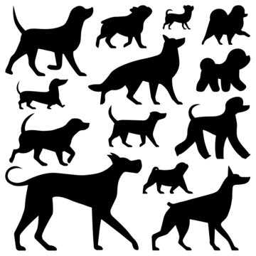 Most Popular Dog Breeds Set In Outline