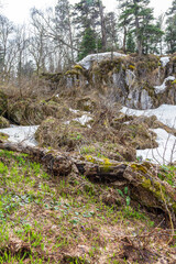Fototapeta premium spring, awakenings in nature on subalpine meadows, remnants of snow cover.