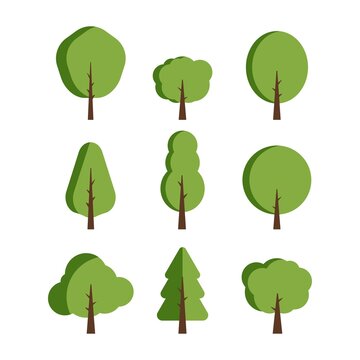 Trees on a white background. Vector illustration
