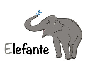 Portuguese alphabet with a picture of an elephant. Translation from Portuguese: elephant. Vector doodle hand drawn illustration