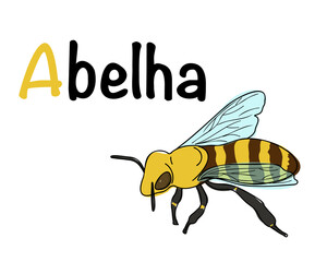 Portuguese alphabet with a picture of a bee. Translation from Portuguese: bee. Vector doodle hand drawn illustration