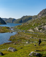 Fototapeta na wymiar mountain landscape with lake and mountains. Hiker with his dog in the Norwegian mountains