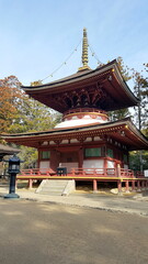 A small, secluded temple town has developed around the sect's headquarters that Kobo Daishi built on Koyasan's wooded mountaintop. Since then over one hundred temples have sprung up along the streets 