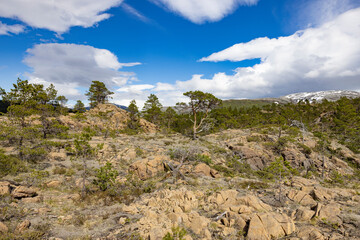 Hike to Raudberg in Velfjord  , Northern Norway,Europe	