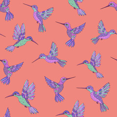 Vector seamless pattern with hummingbird. Decoration print for wrapping, wallpaper, fabric. Seamless vector texture.