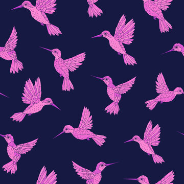 Vector seamless pattern with hummingbird. Decoration print for wrapping, wallpaper, fabric. Seamless vector texture. © Anna Sobol