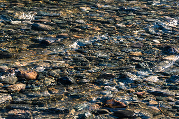 View of river bottom as background. Clear water allows to see stones and branches. Observation of underwater world