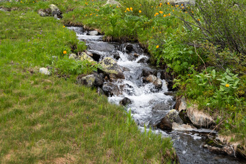 Spring creek among rocks and green grass. Mountain stream on summer day. Water foams in riverbed, source of moisture for thirst quenching and irrigation