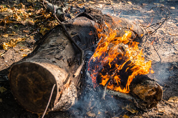 Flame of charcoal fire. Hearth for cooking and heating. Danger in forest