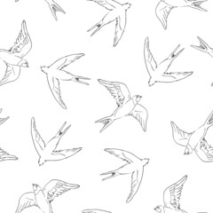 swallow illustration seamless doodle pattern