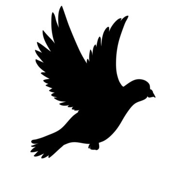 Silhouette of a pigeon. Vector illustration black icon logo standing pigeon.