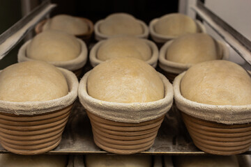 The baker holds in his hands molds for making molded bread. Working mood.