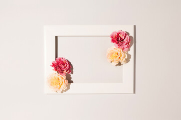White and pink roses in painting frame on light background with copy space. Spring or summer aesthetic creative idea. Minimal flat lay.