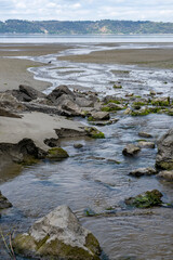 Outlet stream leading past rocks and across beach