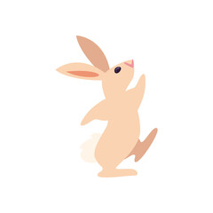 flat walking rabbit design