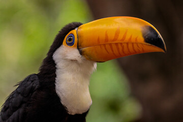 🇧🇷 Joaquim Egídio/SP • Brasil
📸 Felipe Andreucci