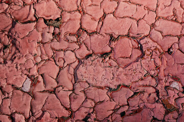 The texture of the wall in the cracks.