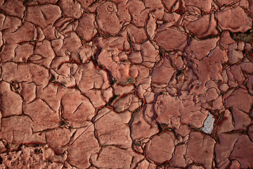 The texture of the wall in the cracks.