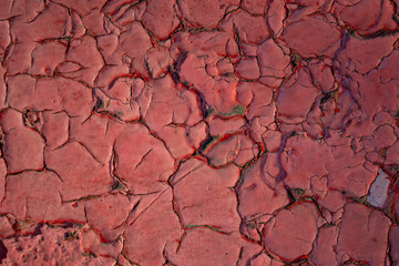 The texture of the wall in the cracks.