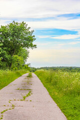 Blue sky with beautiful natural forest landscape panorama Germany.