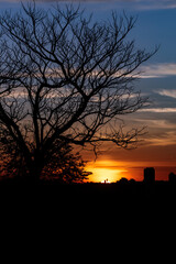 🇧🇷 Americana/SP &bull; Brasil
📸 Felipe Andreucci