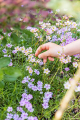 Fototapeta na wymiar Little boy touching flowers in spring garden