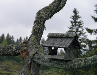 Close-up of a carved wooden birdhouse on a branch on a foggy day, Velika Planina, Slovenia