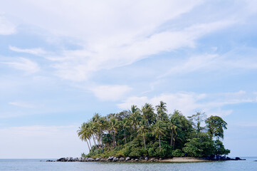 Small tropical island with coconut palm trees and sand beach.