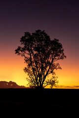🇧🇷 Avaré/SP • Brasil
📸 Felipe Andreucci
